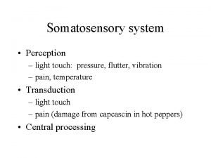 Somatosensory system Perception light touch pressure flutter vibration