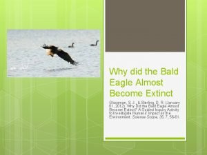 How did the bald eagle almost become extinct
