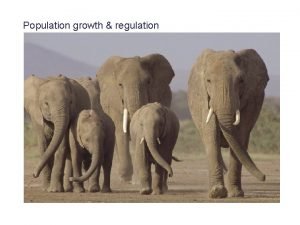 Population growth regulation One foundational idea in ecology