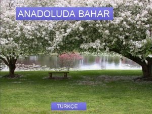 Anadolu'da bahar metni Anadolu'da bahar metni