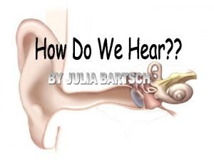 Parts of the ear l Outer ear l