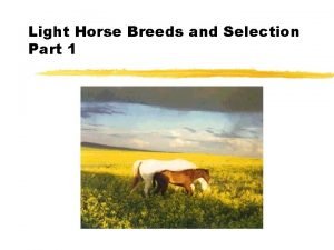 Light horse colors