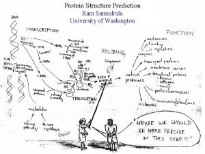Protein Structure Prediction Ram Samudrala University of Washington