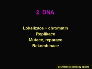 2 DNA Lokalizace chromatin Replikace Mutace reparace Rekombinace