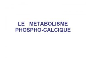 LE METABOLISME PHOSPHOCALCIQUE Gnralits Physiologie Rgulation du mtabolisme