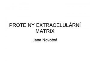 PROTEINY EXTRACELULRN MATRIX Jana Novotn Sloen extracelulrn matrix