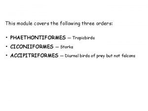 This module covers the following three orders PHAETHONTIFORMES
