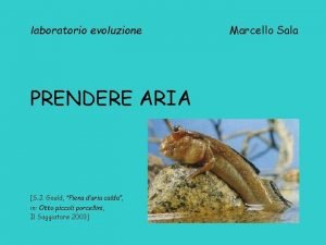 laboratorio evoluzione PRENDERE ARIA S J Gould Piena