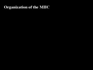 Organization of the MHC Organization of the MHC