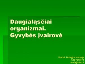 Daugialsiai organizmai Gyvybs vairov Sukr biologijos mokytoja Ana