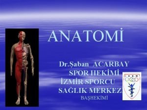 ANATOM Dr aban ACARBAY SPOR HEKM ZMR SPORCU