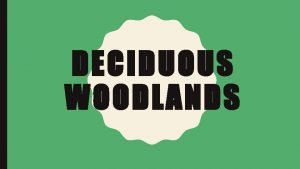 Deciduous woodlands