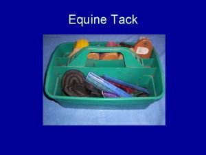 Equine Tack Washing supplies Purpose to remove sweat