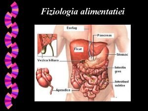 Fiziologia alimentatiei Fiziologia alimentatiei factorii nutritivi ai alimentelor