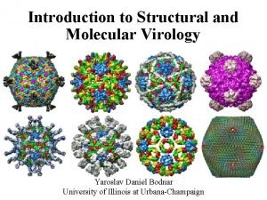 Introduction to Structural and Molecular Virology Yaroslav Daniel