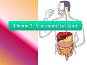 Thema 2 Van mond tot kont Leskaart 1