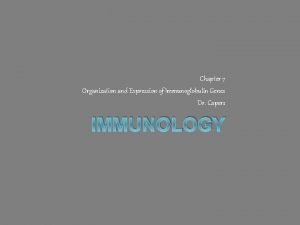 Chapter 7 Organization and Expression of Immunoglobulin Genes
