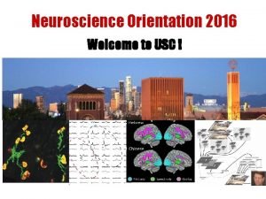 Neuroscience Orientation 2016 Welcome to USC Neuroscience Orientation