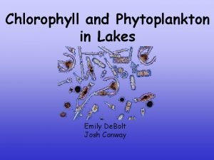 Chlorophyll and Phytoplankton in Lakes Emily De Bolt