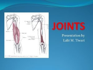 JOINTS Presentation by Lalit M Tiwari INTRODUCTION In