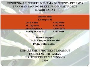 PENGENDALIAN TERPADU HAMA DAN PENYAKIT PADA TANAMAN JAGUNG