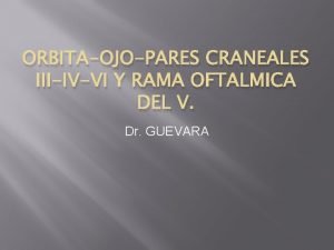 ORBITAOJOPARES CRANEALES IIIIVVI Y RAMA OFTALMICA DEL V