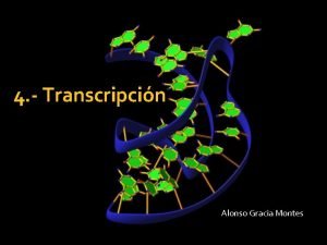 4 Transcripcin Alonso Gracia Montes ndice Introduccin Fases