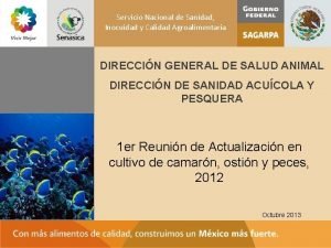 Servicio Nacional de Sanidad Inocuidad y Calidad Agroalimentaria