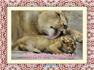 El amor de una madre no tiene limites