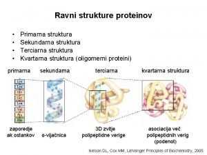 Ravni strukture proteinov Primarna struktura Sekundarna struktura Terciarna