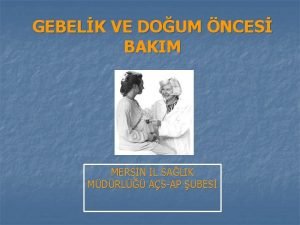 Fundus yüksekliği