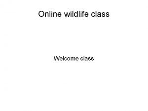 Online wildlife class Welcome class Grizzly bear The