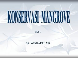 Oleh DR WINDARTI MSc Pengertian mangrove Mangrove q