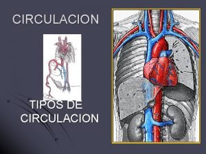 CIRCULACION TIPOS DE CIRCULACION FUNCIONES DE LA CIRCULACION