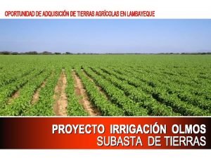 EL PROYECTO INTEGRAL OLMOS El Proyecto Integral Olmos