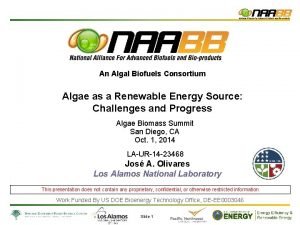 An Algal Biofuels Consortium Algae as a Renewable