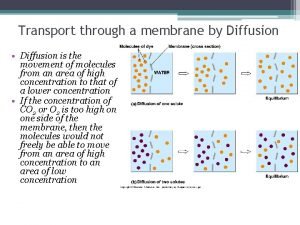 Transport through a membrane by Diffusion Diffusion is