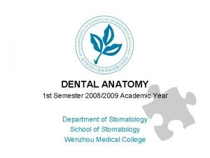 DENTAL ANATOMY 1 st Semester 20082009 Academic Year