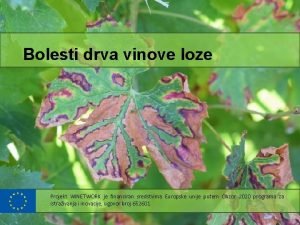 Bolesti drva vinove loze Projekt WINETWORK je financiran