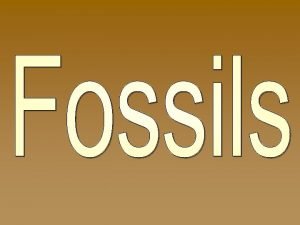 Types of fossils