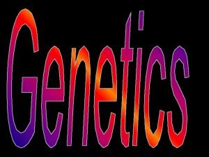 What is Genetics The study of Heredity Heredity