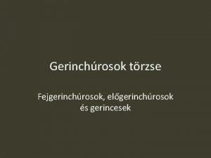 Gerinchrosok trzse Fejgerinchrosok elgerinchrosok s gerincesek Egy kis