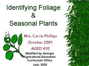 Identifying Foliage Seasonal Plants Mrs Carrie Phillips October