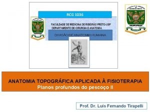 RCG 1036 ANATOMIA TOPOGRFICA APLICADA FISIOTERAPIA Planos profundos