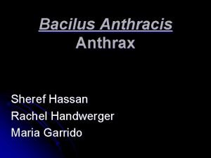 Bacilus Anthracis Anthrax Sheref Hassan Rachel Handwerger Maria