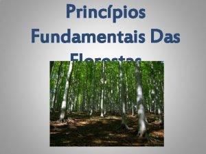 Declaração de princípios sobre florestas Declaração de princípios sobre florestas