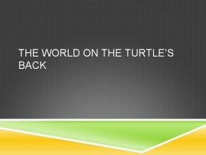 THE WORLD ON THE TURTLES BACK 1 WHAT