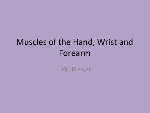 Muscles of ulnar deviation