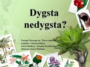 Dygsta nedygsta Pareng Ukmergs raj elvos vidurins mokyklos