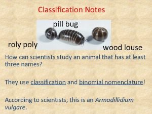 Roly poly classification